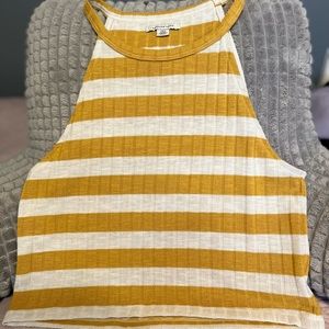 American Eagle Outfitters Crops Top